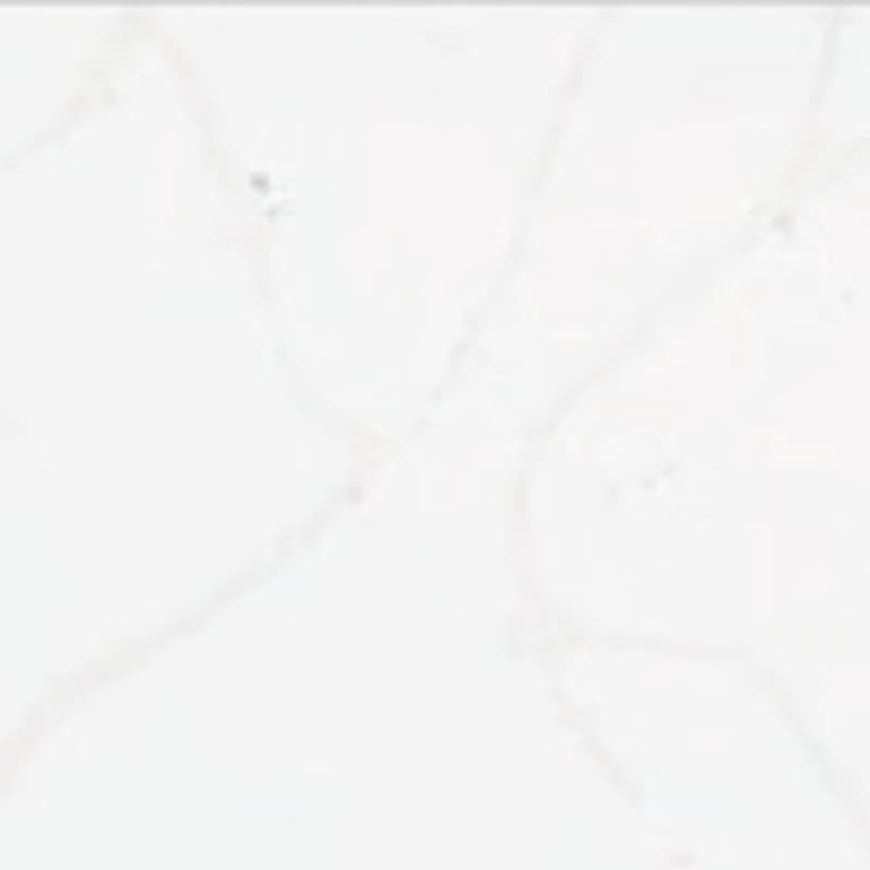 Countertop — Calacatta Echo