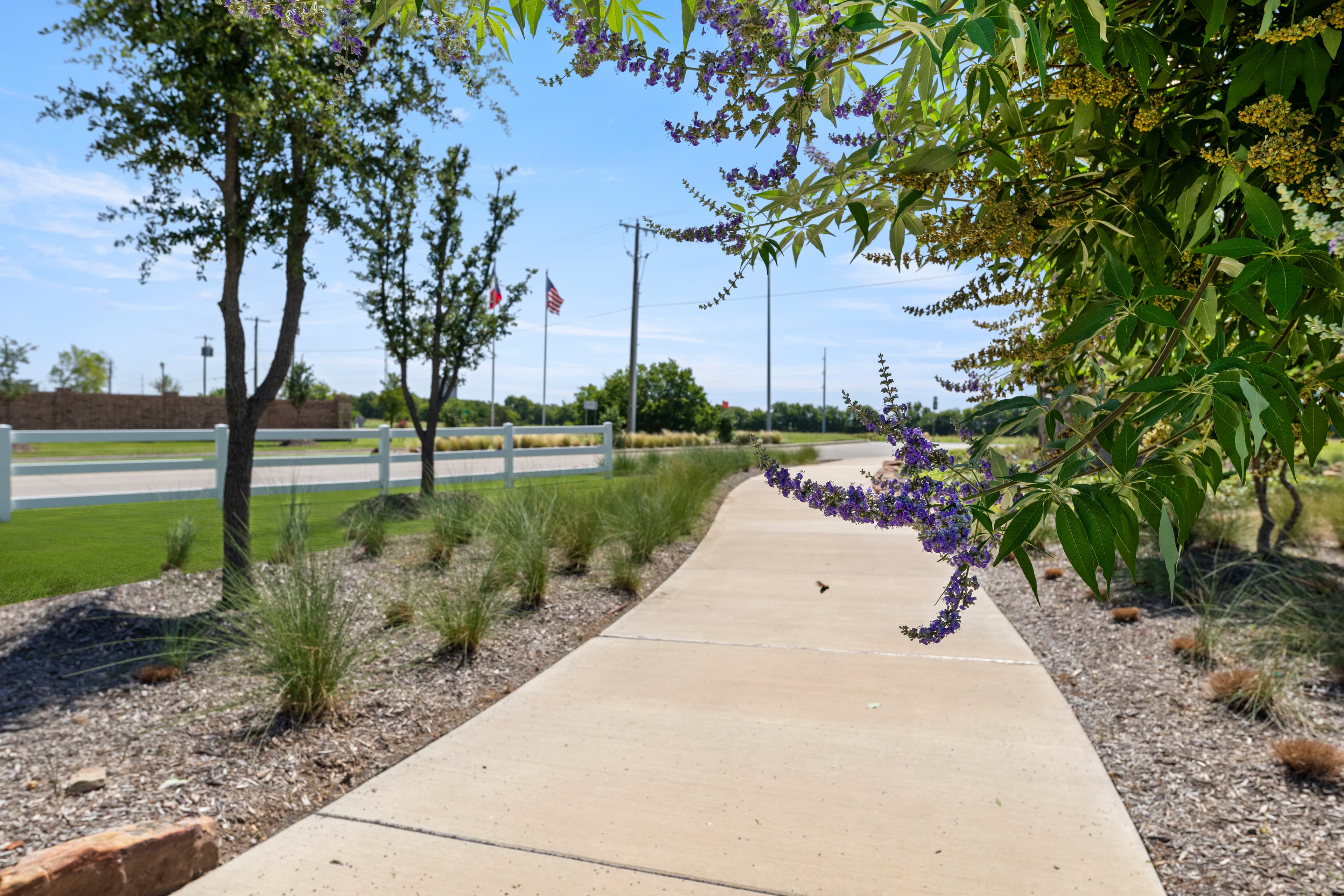 Royse City area photo