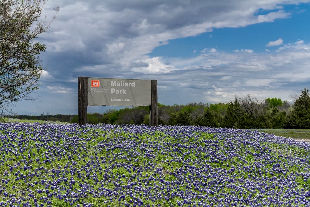 Lavon area photo