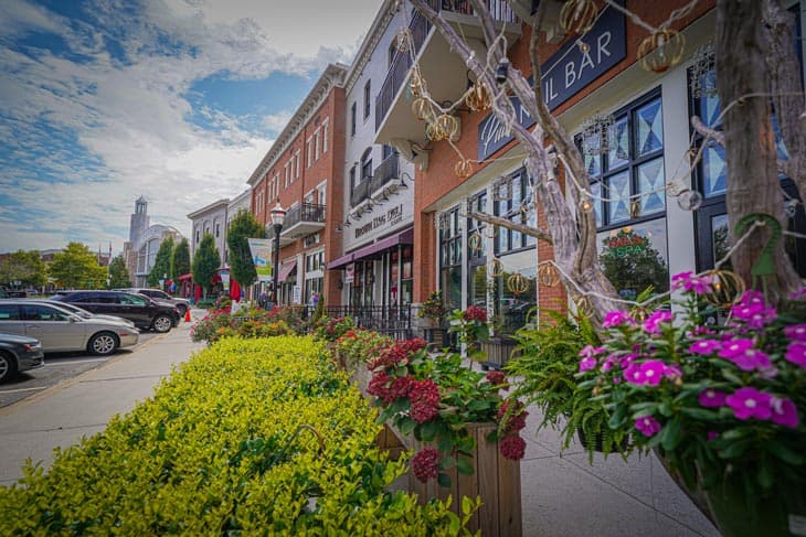Suwanee area photo