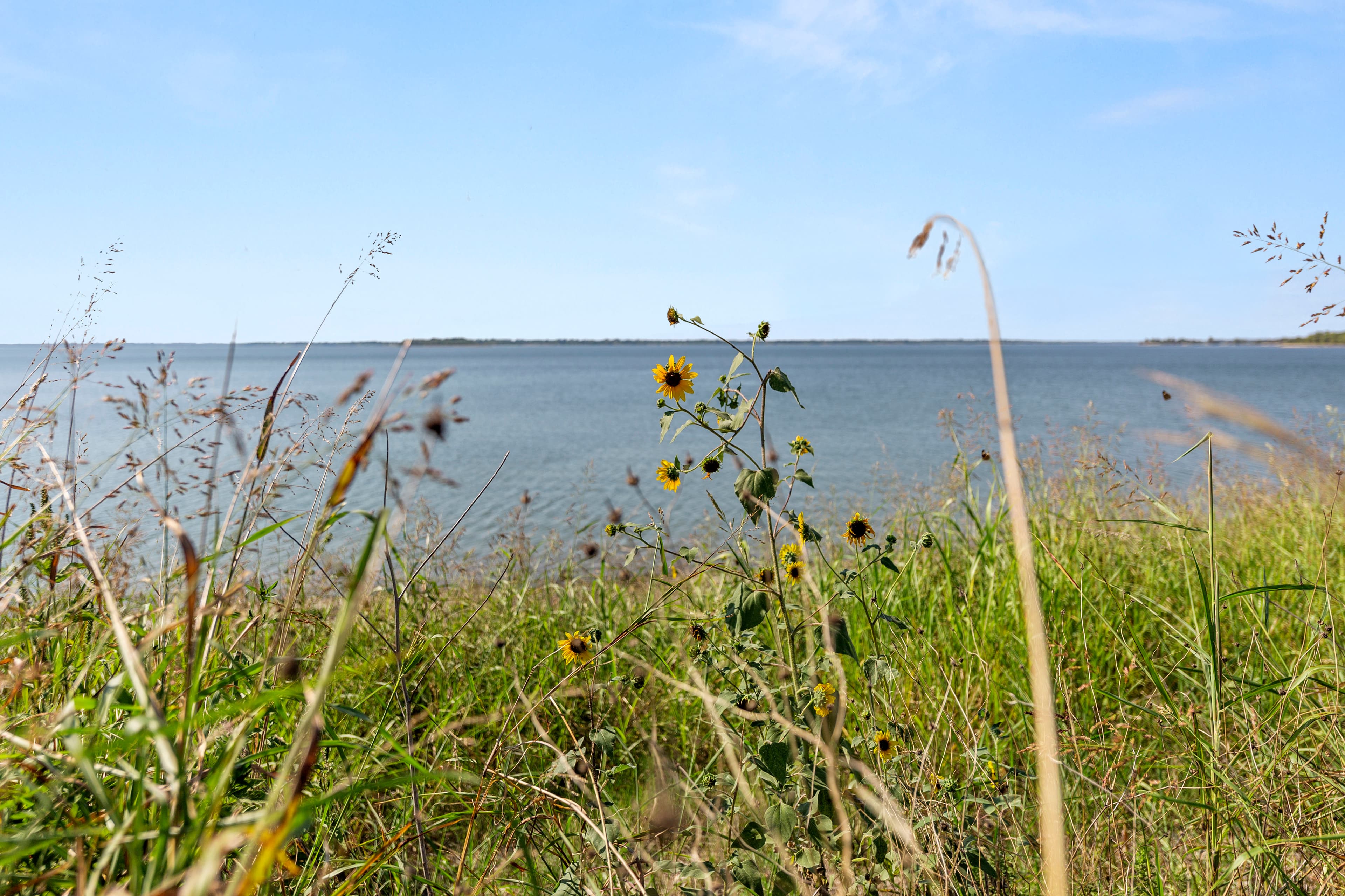 Lake Breeze photo